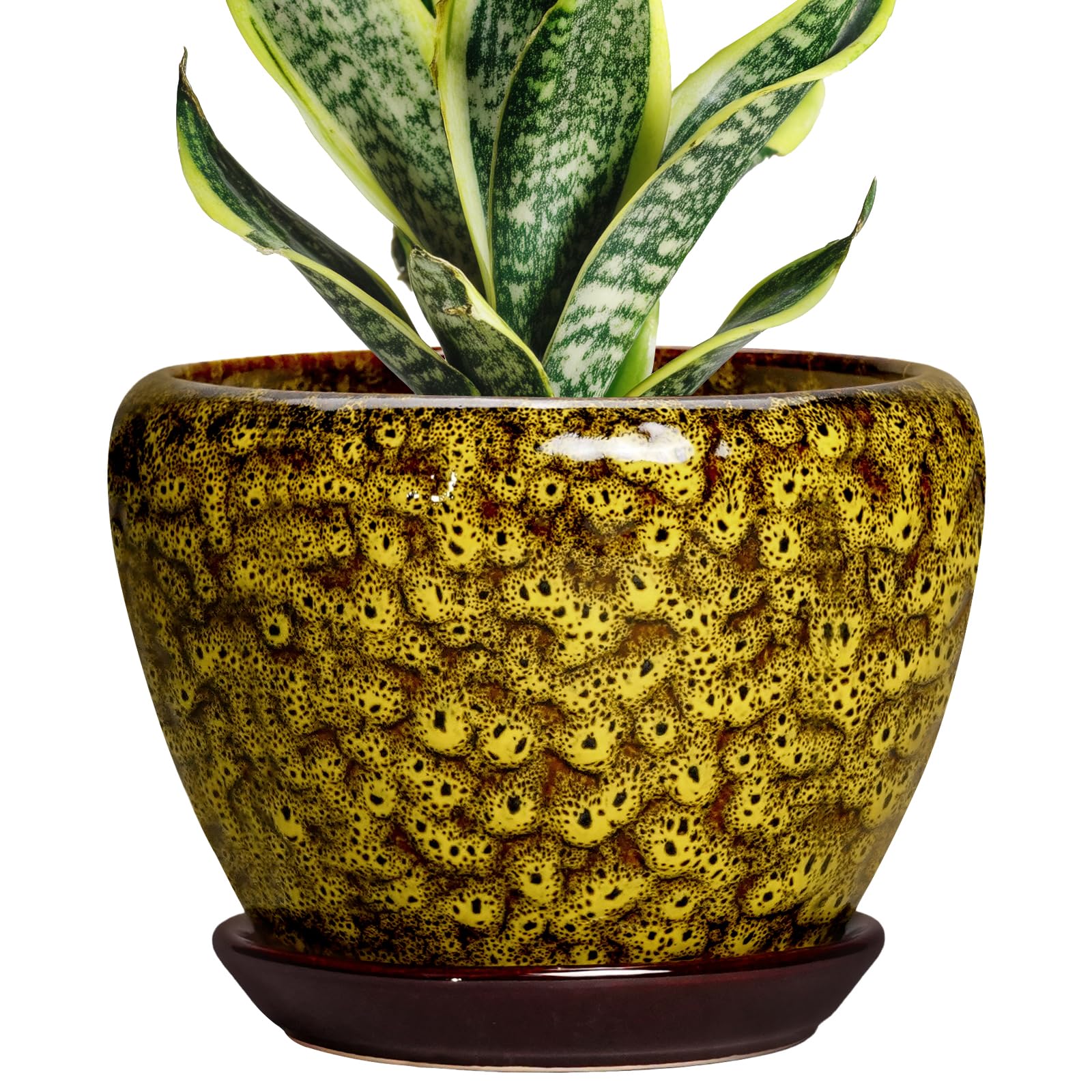Amazon.co.jp: Thirtypot 6インチ セラミック植木鉢 イエロー